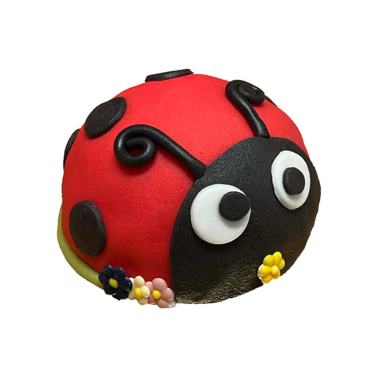 Lieveheersbeestje boltaartje